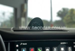 Xe Porsche Panamera 4 Executive 2023