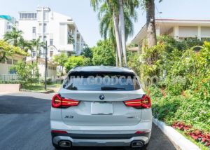 Xe BMW X3 sDrive20i 2024