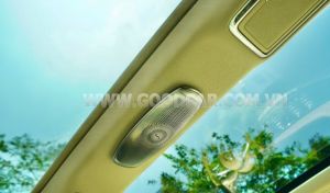 Xe Mercedes Benz S450L 2020