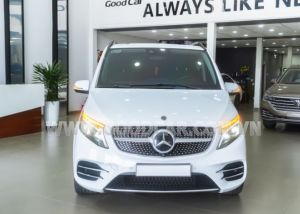 Xe Mercedes Benz V250 AMG 2023
