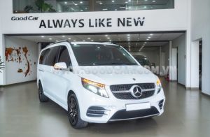 Xe Mercedes Benz V250 AMG 2023