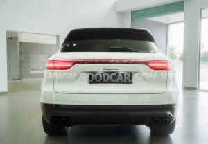 Xe Porsche Cayenne Platinum Edition 2022
