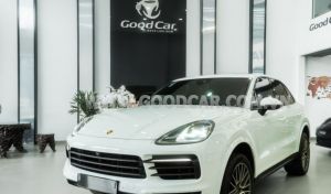 Xe Porsche Cayenne Platinum Edition 2022
