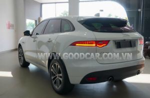 Xe Jaguar F-Pace R-Sport 2019