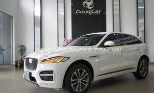 Xe Jaguar F-Pace R-Sport 2019