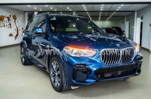 Xe BMW X5 xDrive40i M Sport 2022