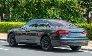 Xe Audi A6 45 TFSI 2022