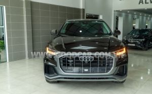 Xe Audi Q8 55 TFSI S-Line Quattro 2023