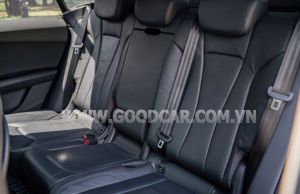 Xe Audi Q8 55 TFSI S-Line Quattro 2021