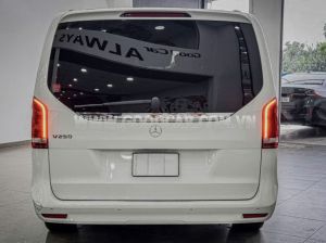 Xe Mercedes Benz V250 AMG 2023