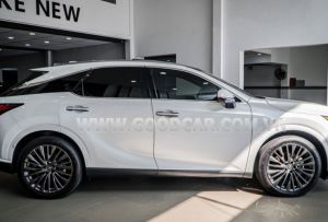 Xe Lexus RX 350 Luxury 2023