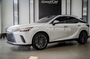 Xe Lexus RX 350 Luxury 2023
