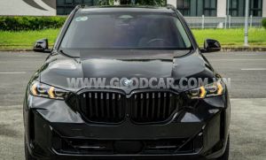 Xe BMW X5 xDrive40i xLine 2023