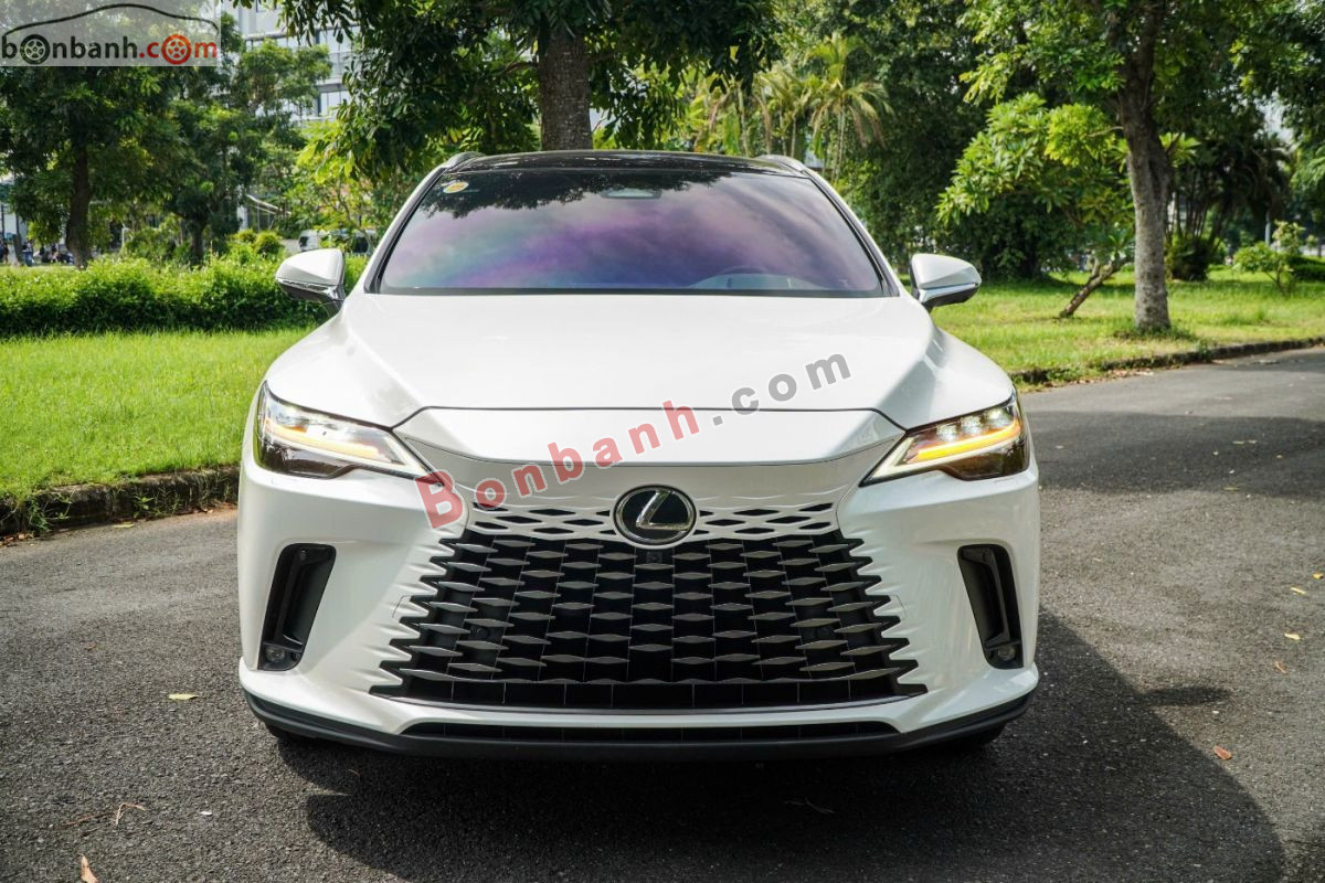 Lexus RX 350 Luxury